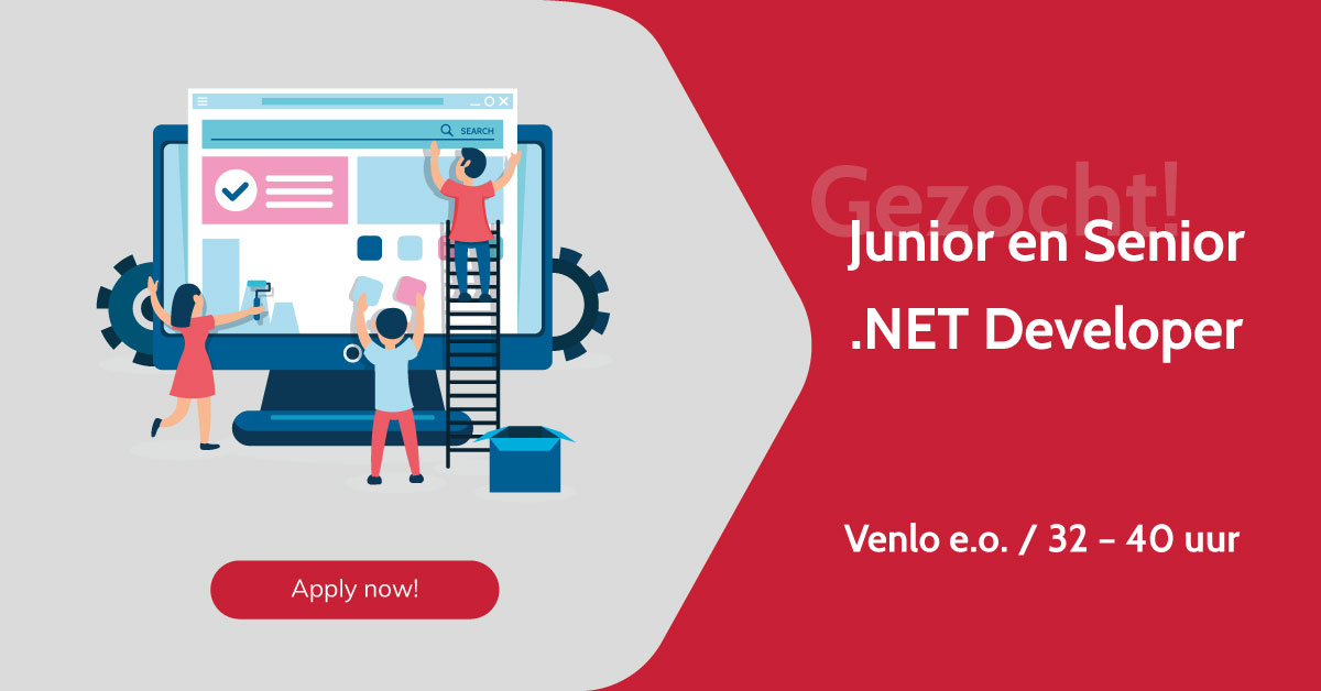 Junior Senior .NET Developer